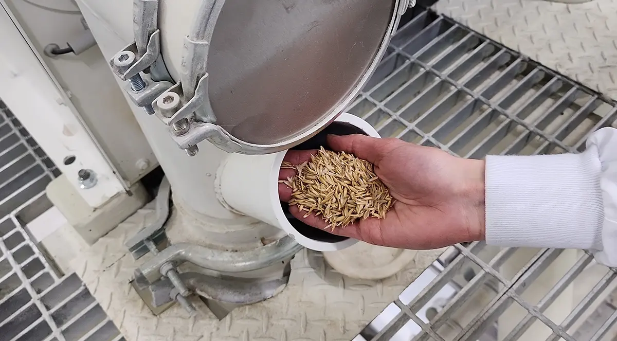 Oat Hulls