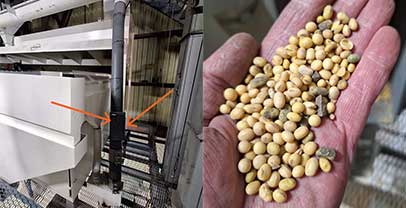 The Simplest Things! - Designing Seed, Grain Cleaning or Food Processing Plants